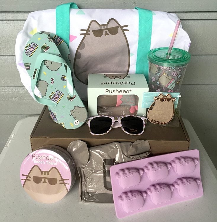 Pusheen-Box-Summer-2016-Contents