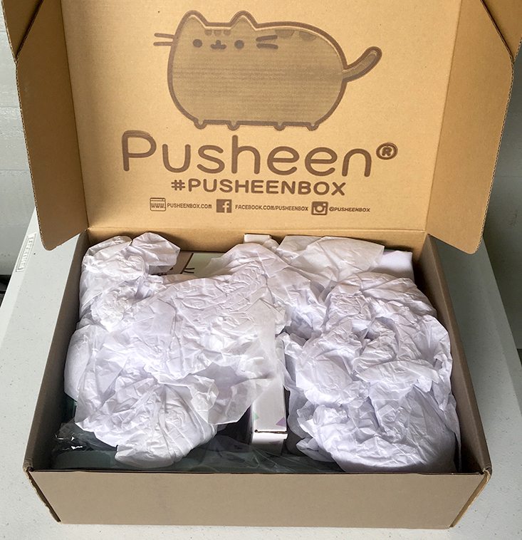 Pusheen-Box-Summer-2016-First-Look