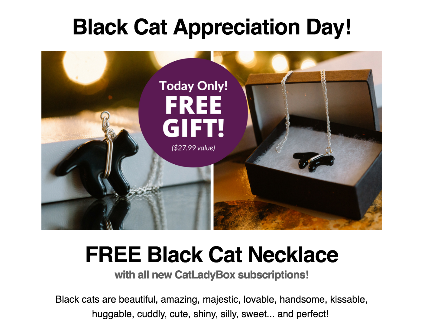 Black Cat Appreciation Day! Cat Lady Box Coupon – Free Necklace!
