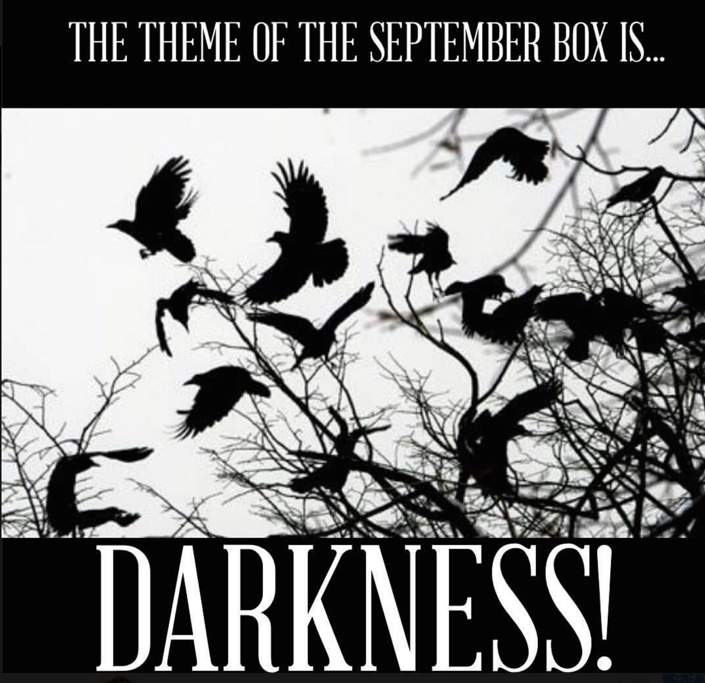 Screen Shot 2016-08-17 at 8.37.12 AM