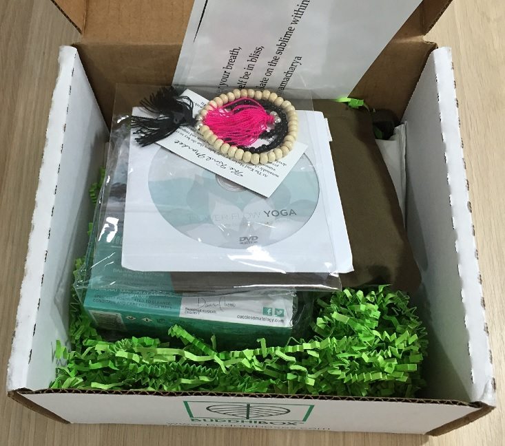buddhibox-jul-inside