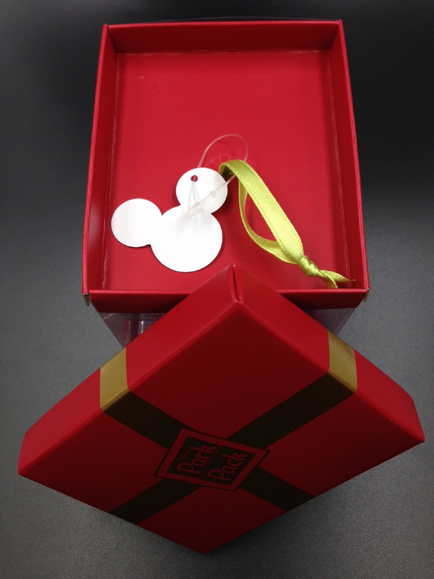 disney_park_pack_holiday_edition_august_box15