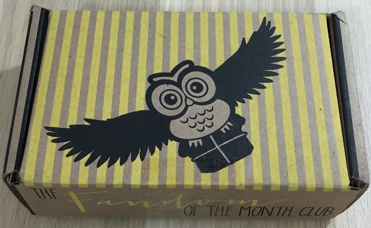 Fandom of the Month Subscription Box Review – July 2016