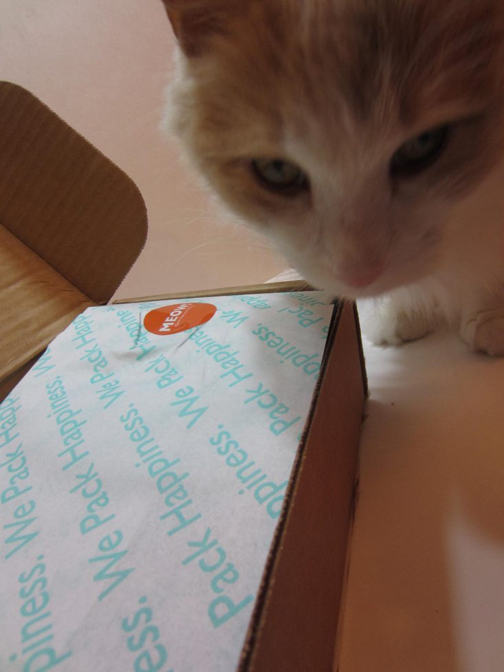 PetPack Cat Subscription Box Review + Coupon – August 2016