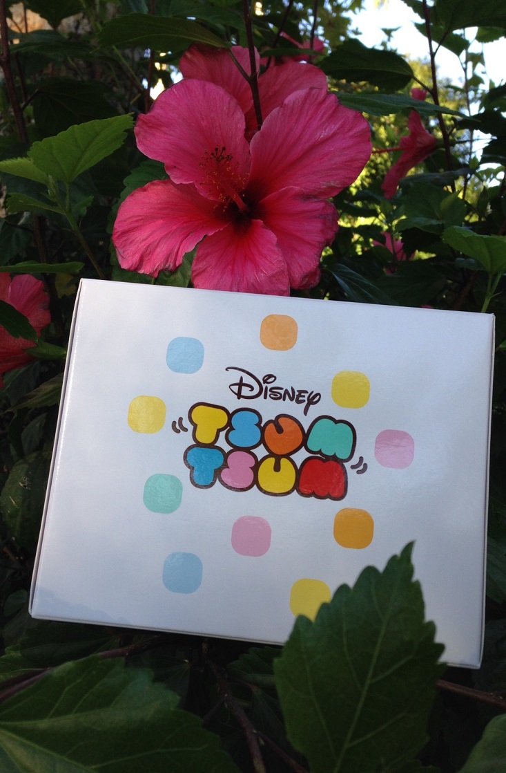 Disney Tsum Tsum Subscription Box Review – July 2016