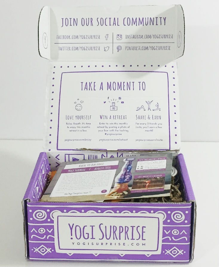 yogi-surprise-aug-inside