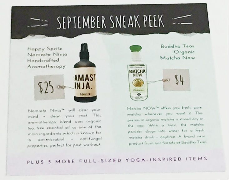 yogi-surprise-aug-spoiler