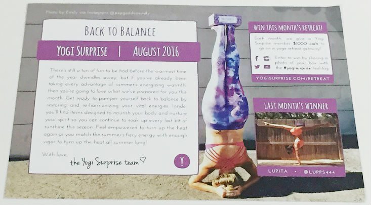yogi-surprise-aug-theme