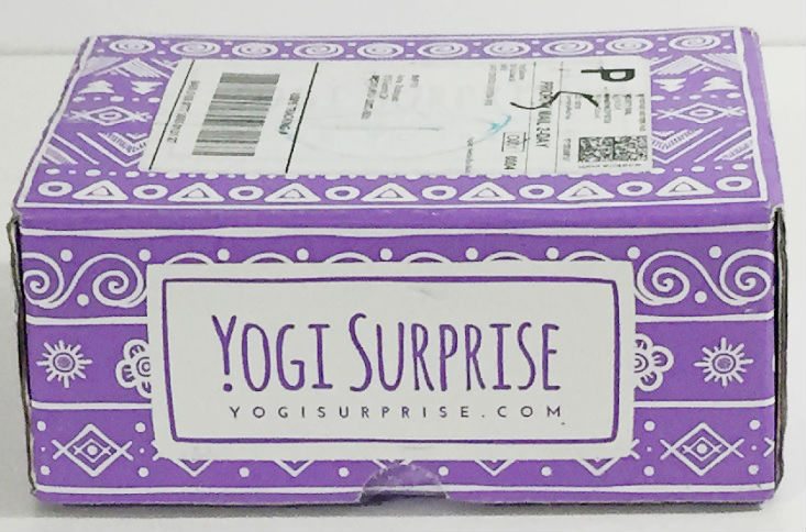 yogi-surprise-aug