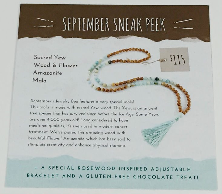 yogi-surprise-jewelry-aug-spoiler