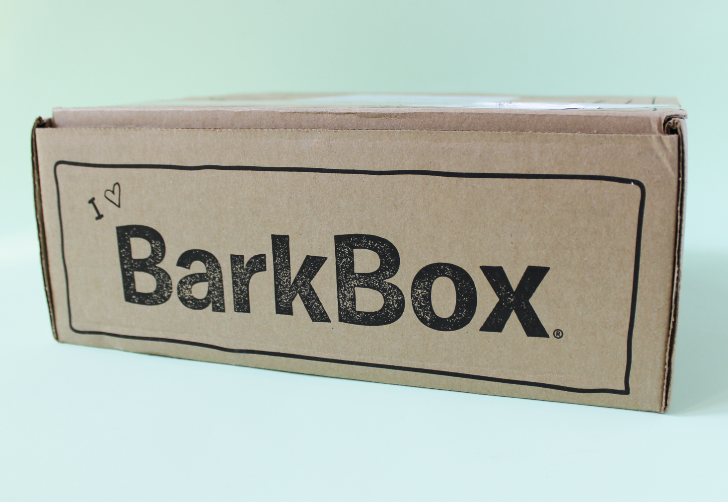 barkbox-september-2016-1