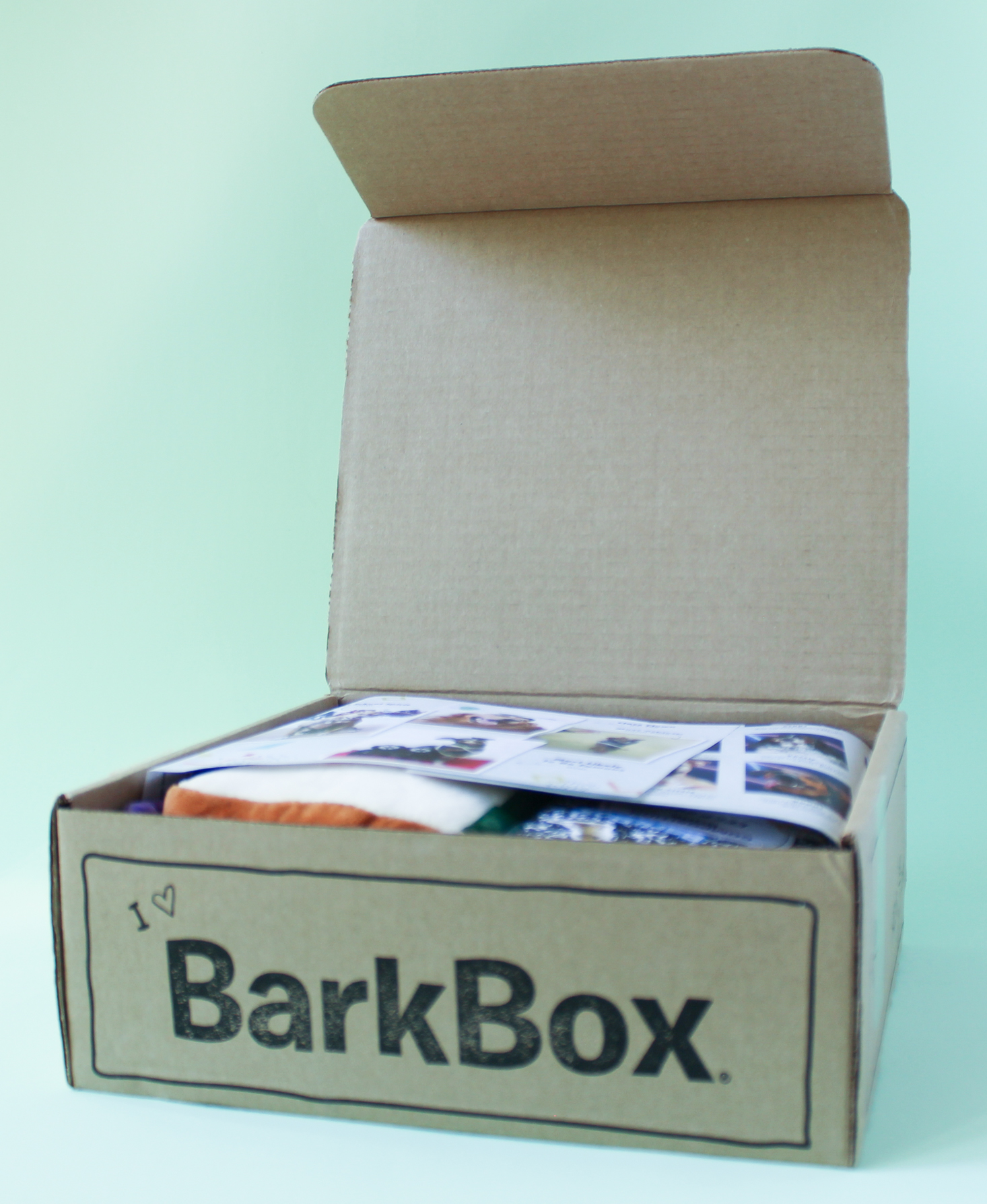 barkbox-september-2016-2