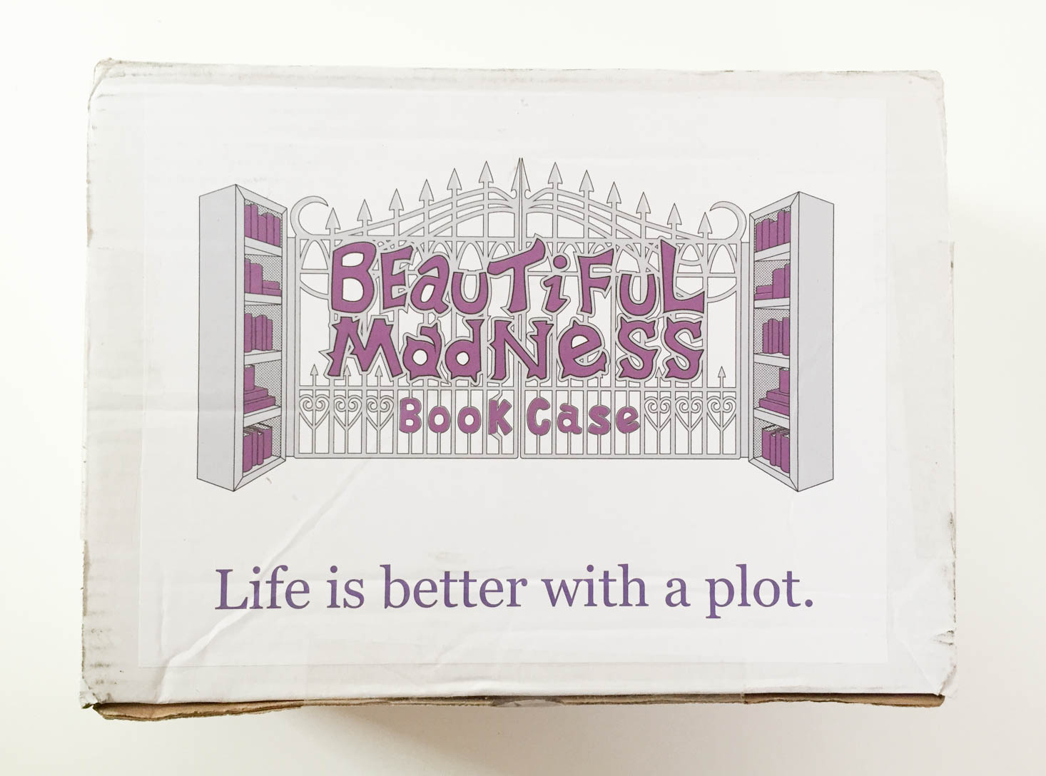 Beautiful Madness Book Case Review + Coupon- Chapter Five