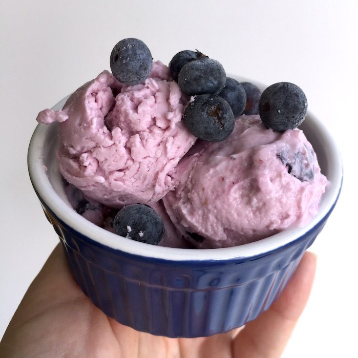 hamptons-august-2016-blueberry4