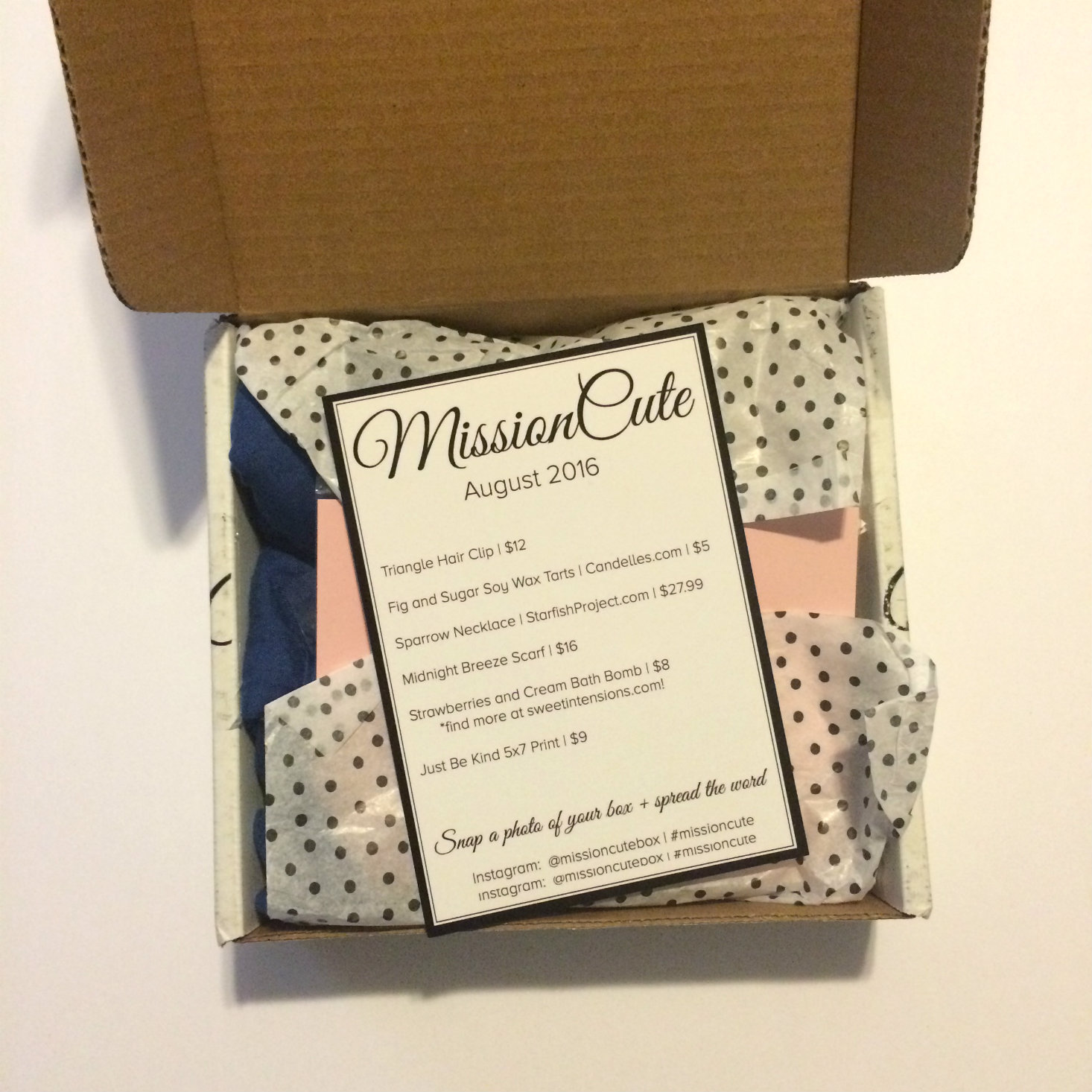 What's inside a MissionCute box? Read our review of the August 2016 box to find out!