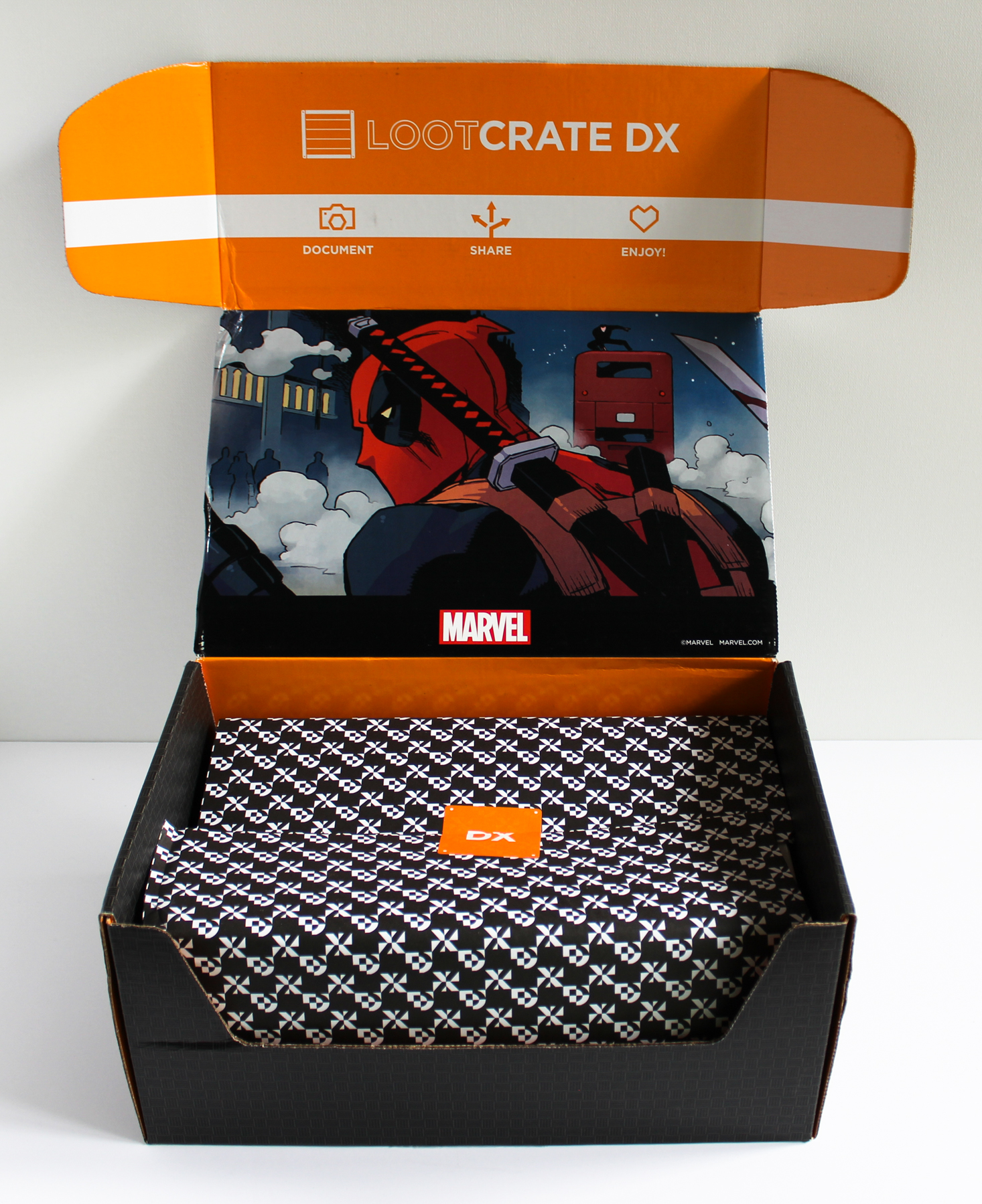 Loot Crate DX August 2016 - 2