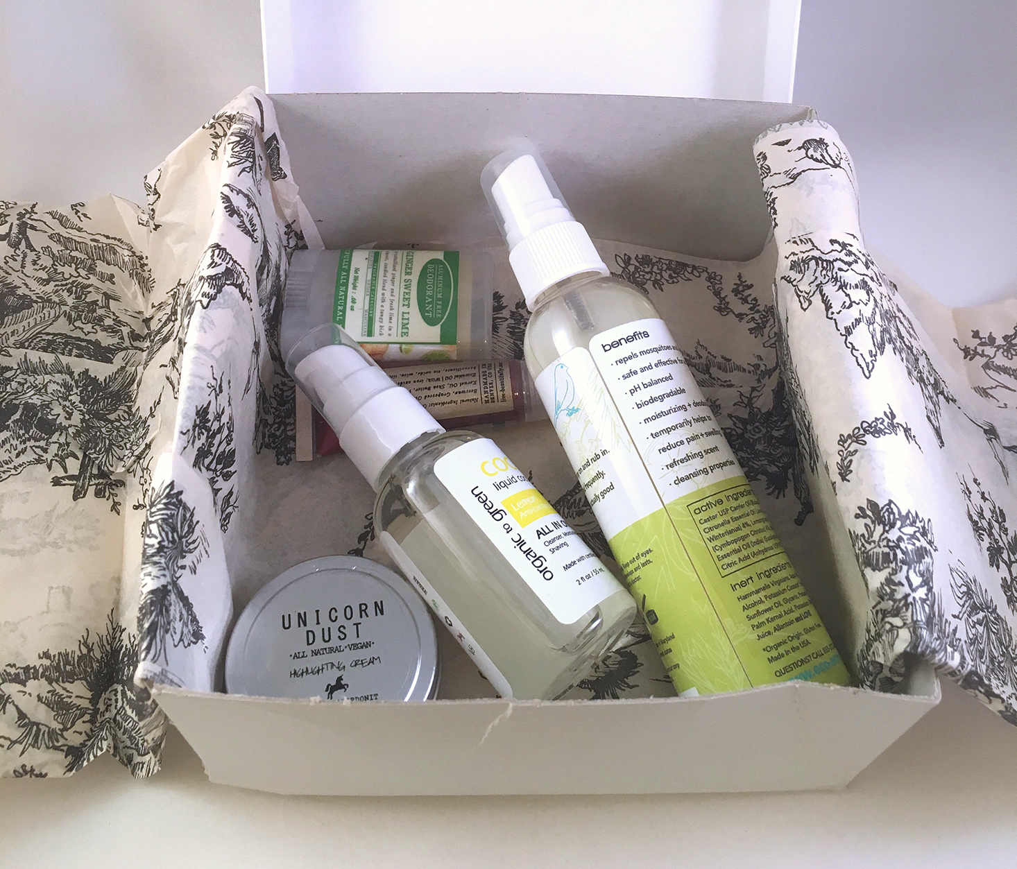 luxepineapple-post-september-2016-inside-box