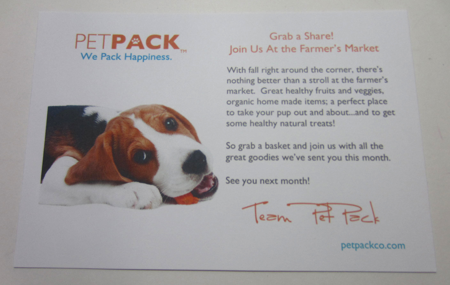 petpack-dog-september-2016-booklet