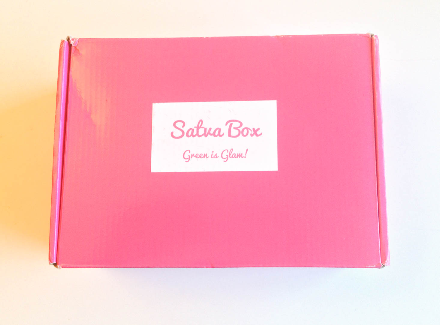 Satva Natural Beauty Box Review + Coupon – September 2016