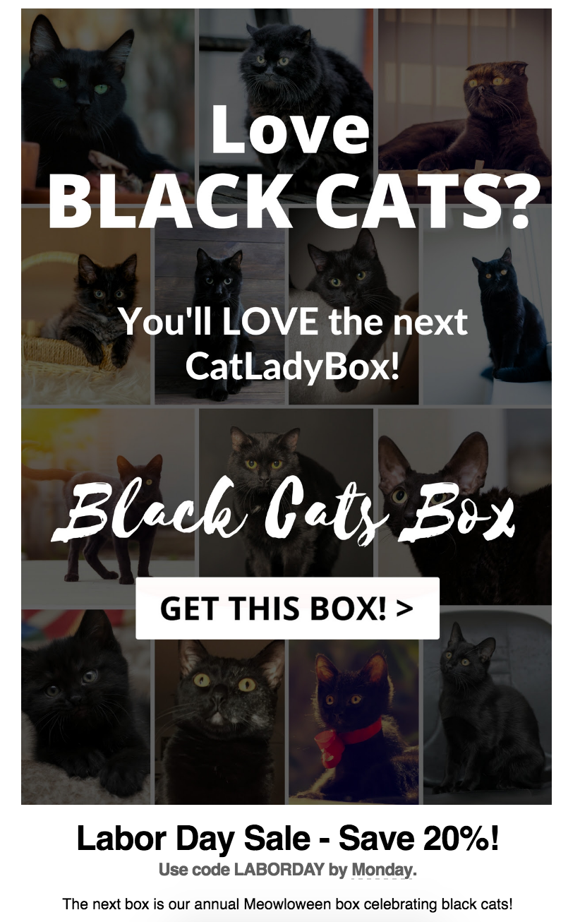 Cat Lady Box Labor Day Coupon – 20% Off New Subscription!