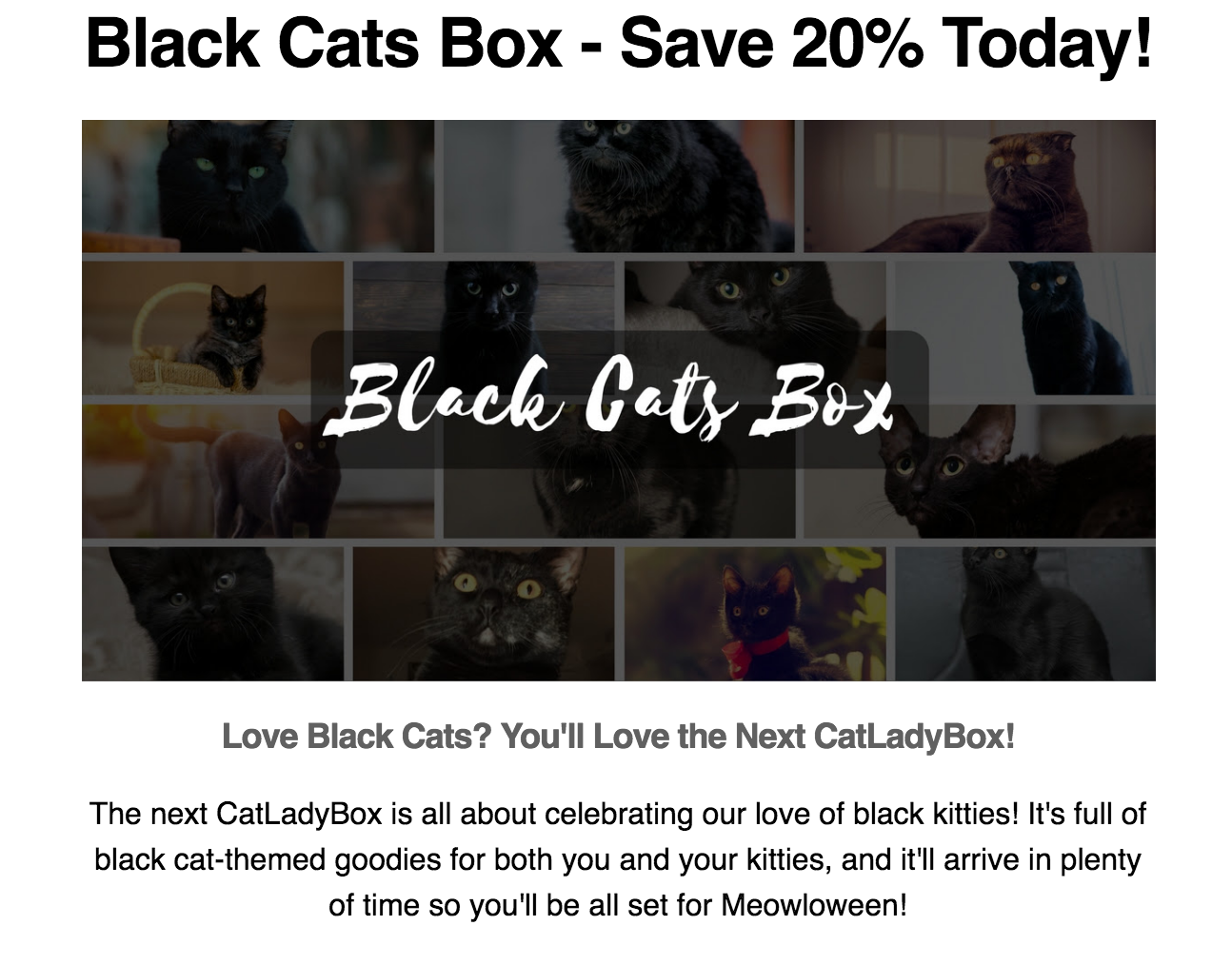Cat Lady Box Coupon – 20% Off New Subscription!