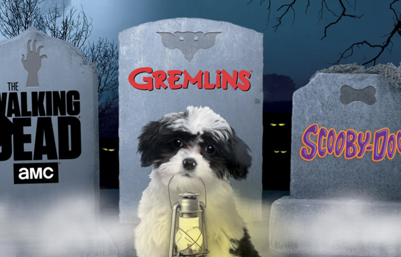 loot pets October 2016