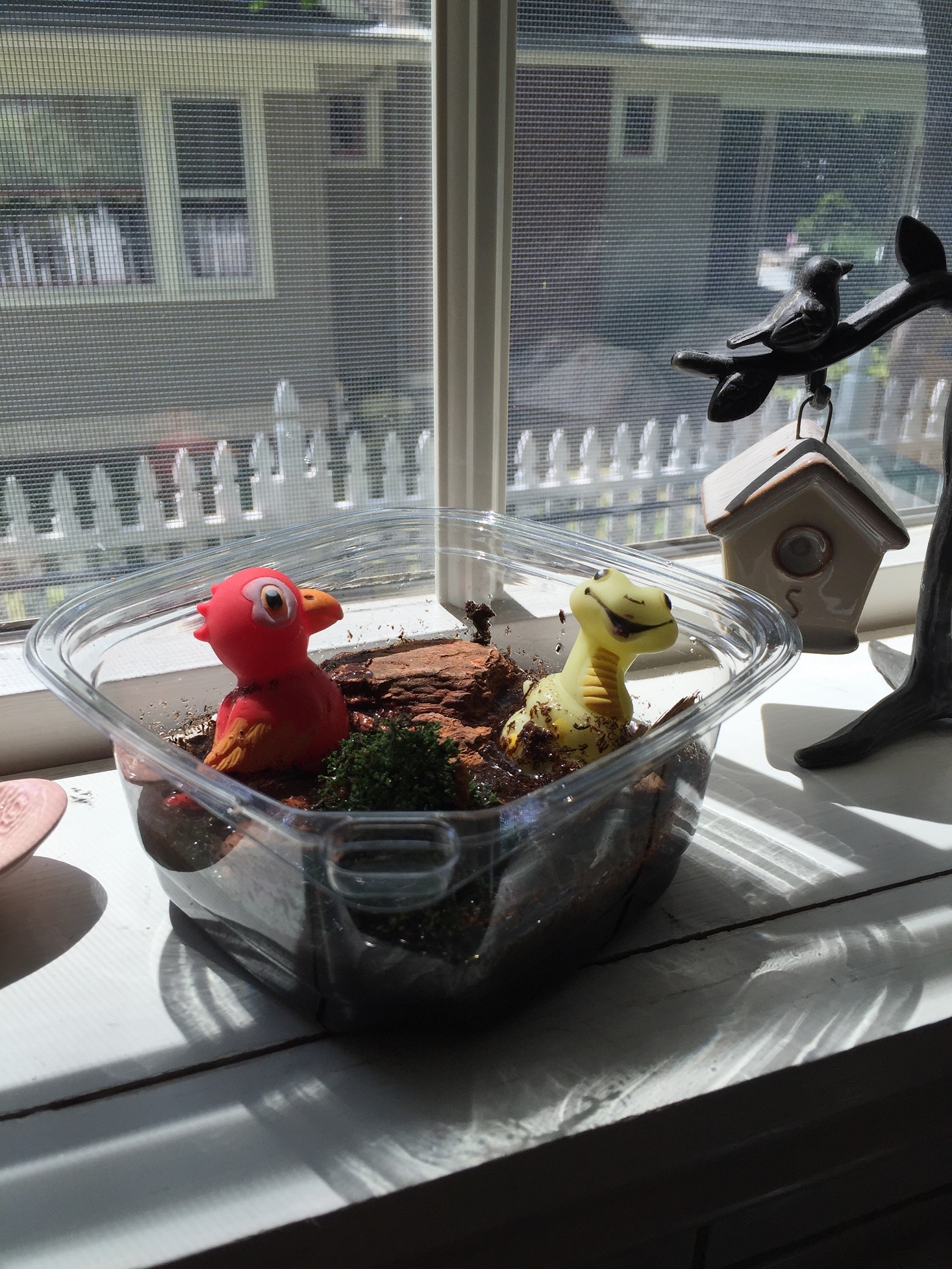 Terrarium 2