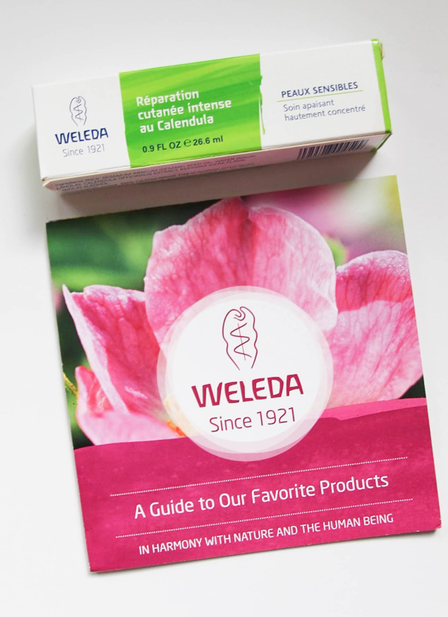 wellnesstribeaugust2016-014