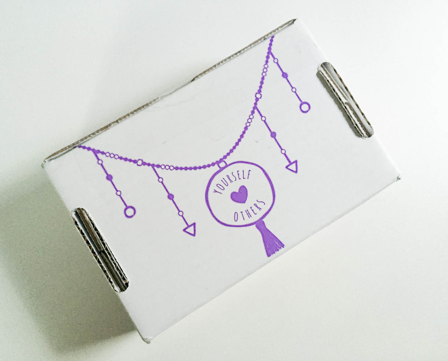 yogi-surprise-jewelry-september-2016-box