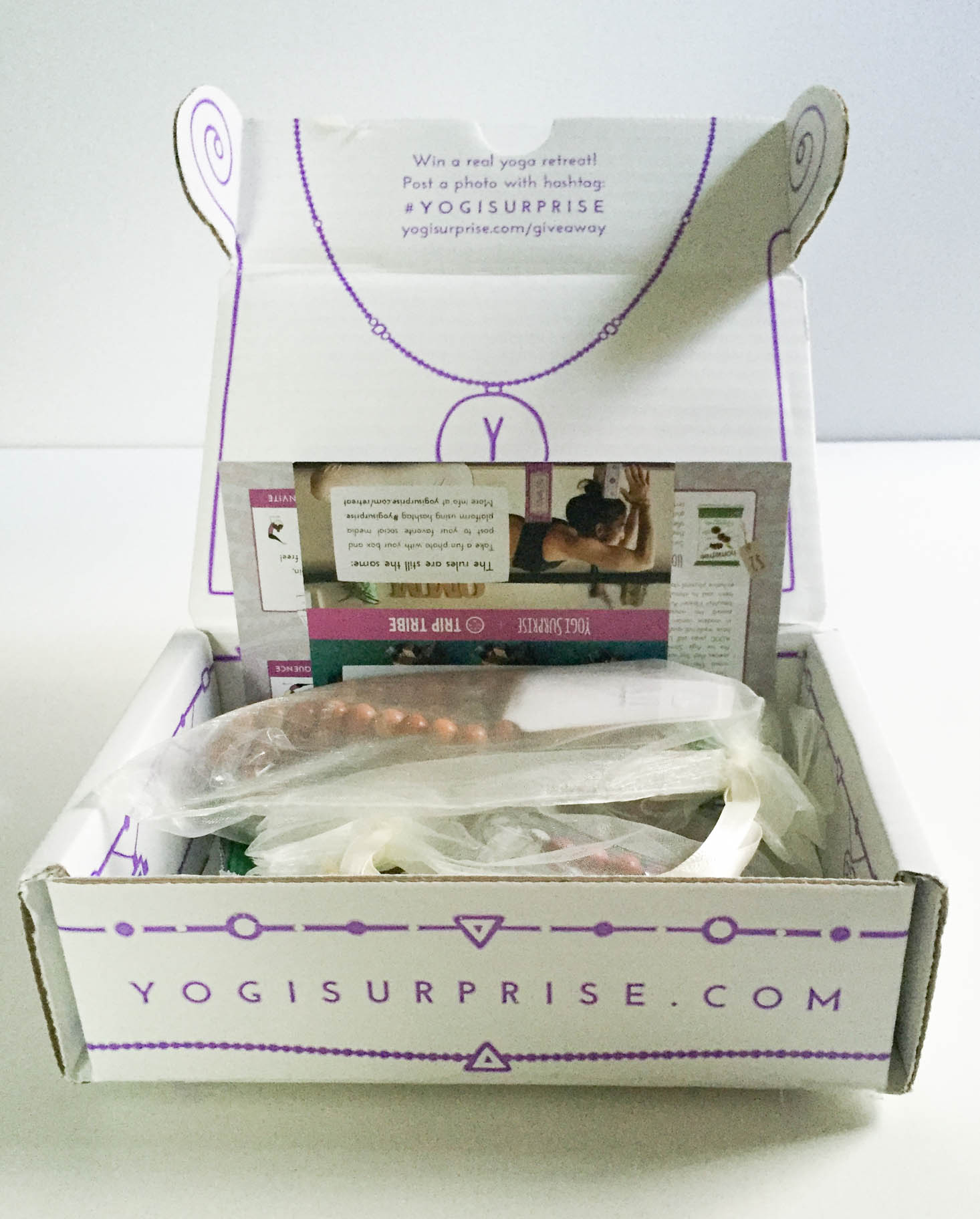 yogi-surprise-jewelry-september-2016-inside-box