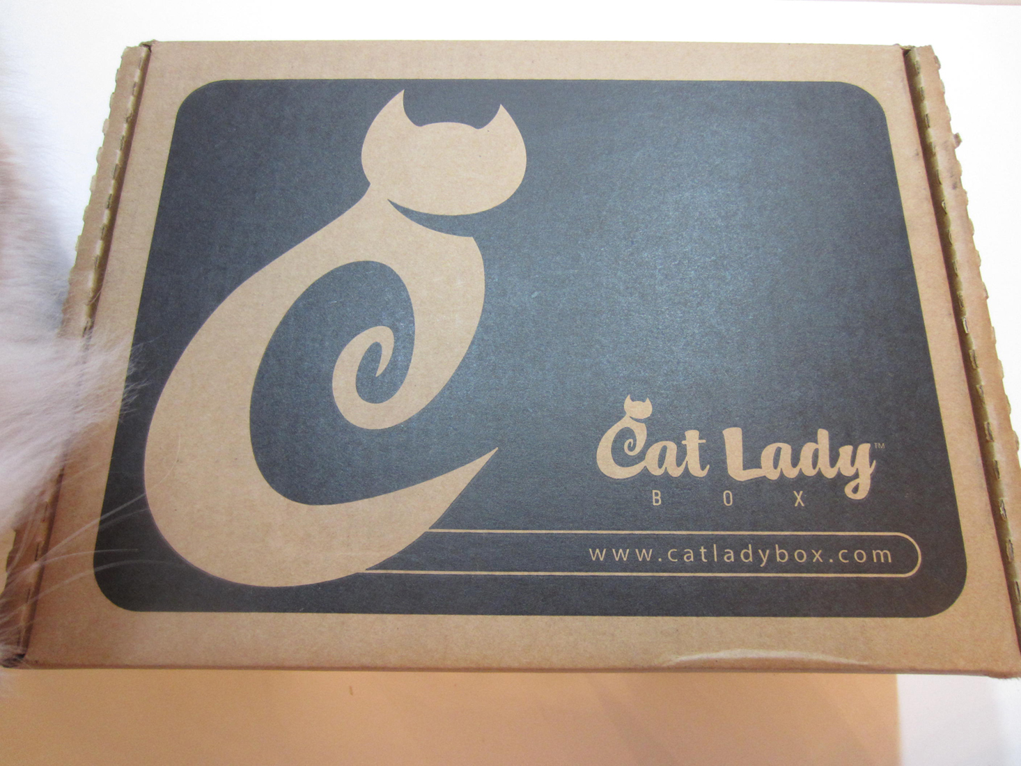 catladybox-september-2016-box