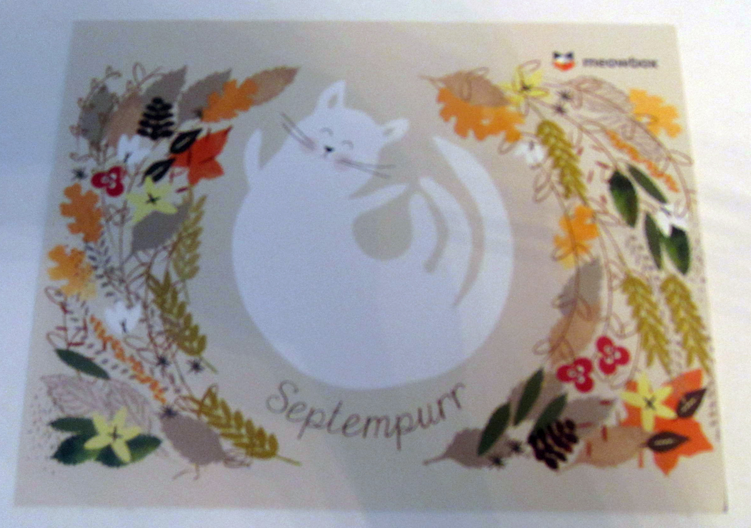 meowbox-september-2016-booklet-front