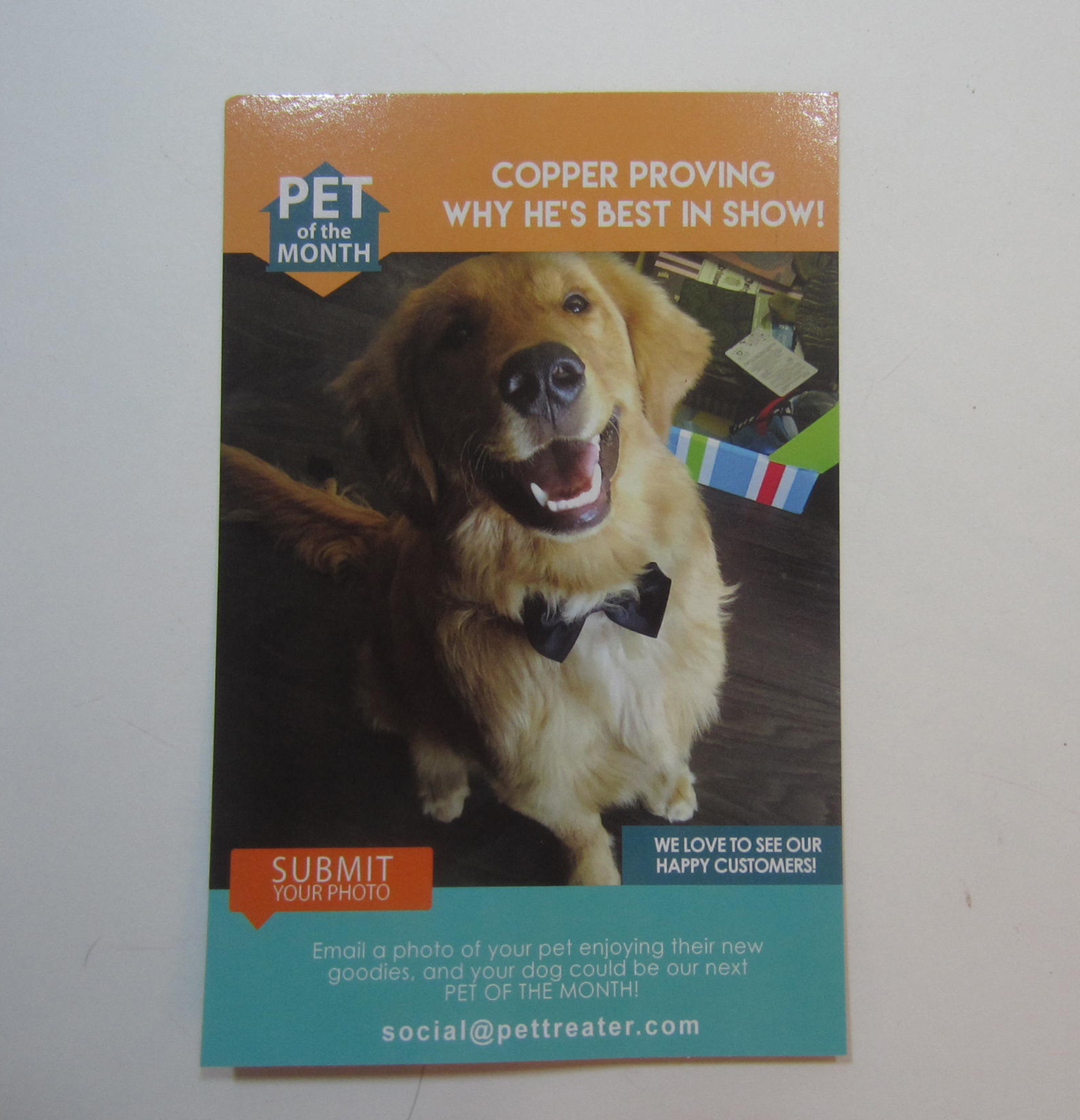 pet-treater-september-2016-booklet