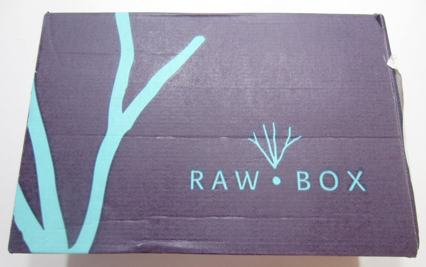 RawBox Subscription Box Review + Coupon – September 2016