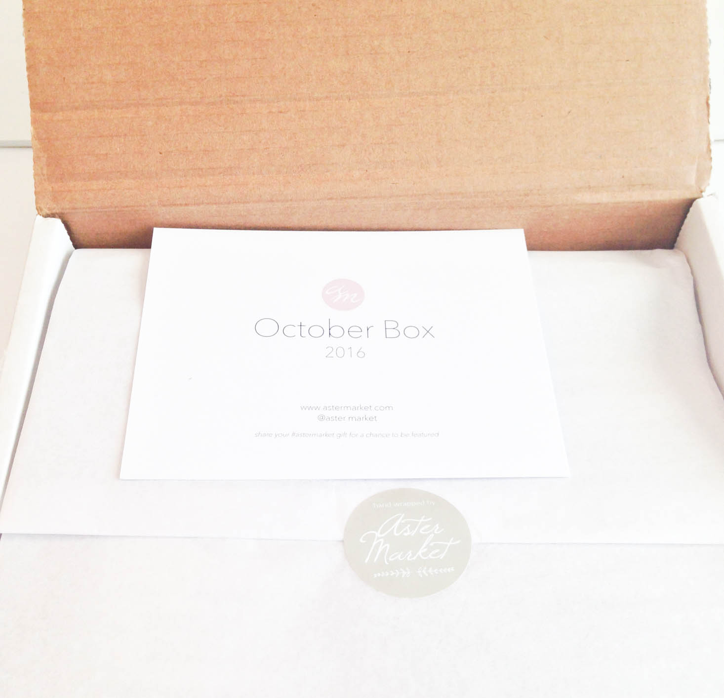 Aster Market Subscription Box Review + Coupon – October 2016