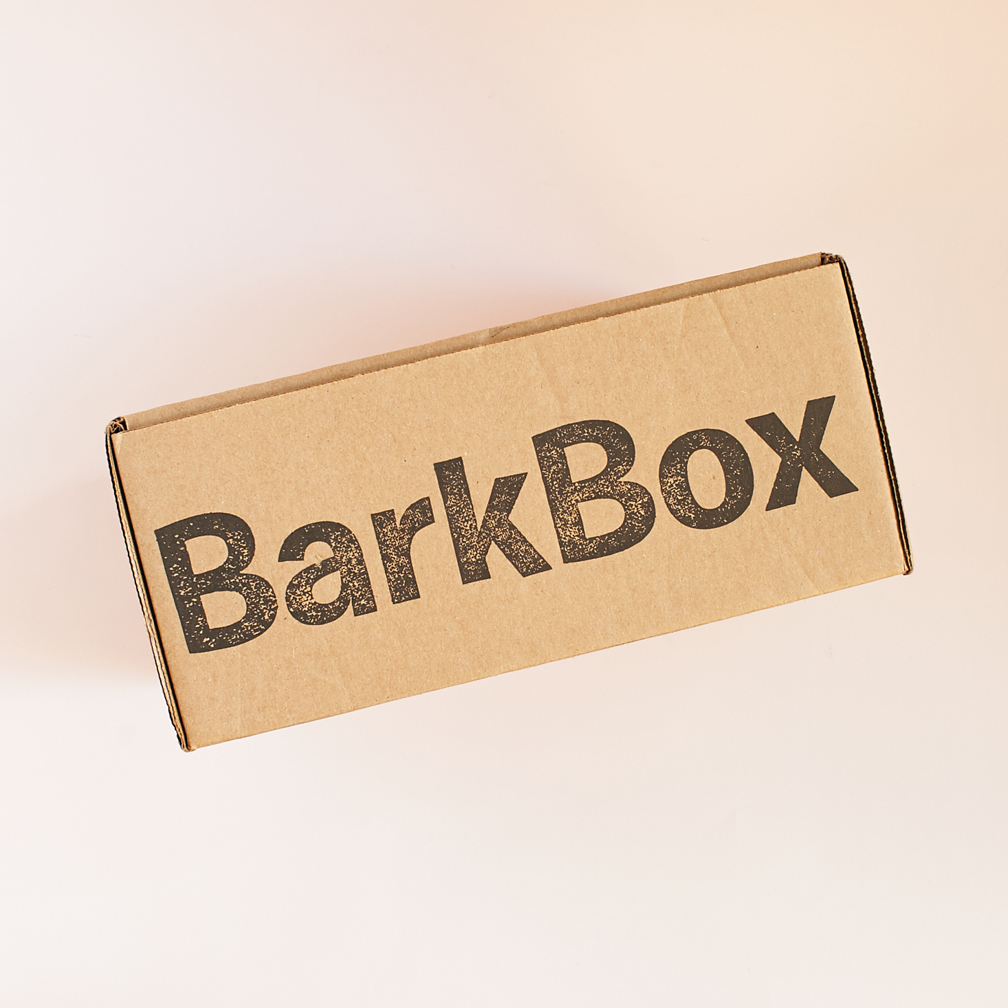 barkbox-october-2016-0001