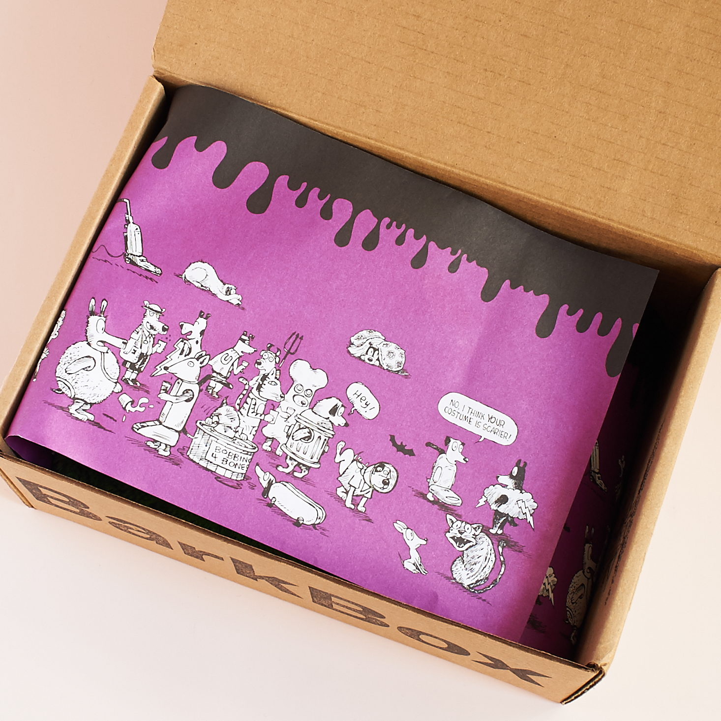 barkbox-october-2016-0002