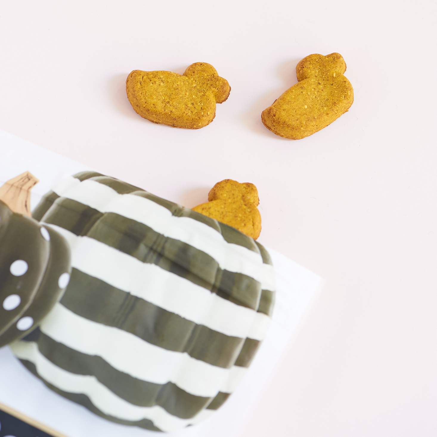 barkbox-october-2016-0012