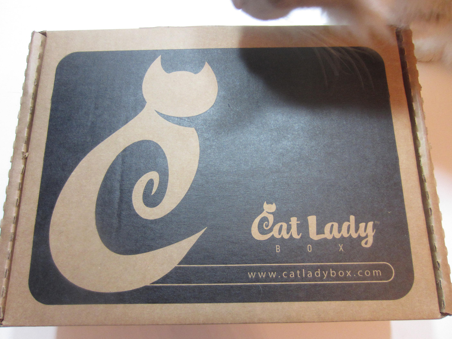 cat-lady-box-october-2016-box