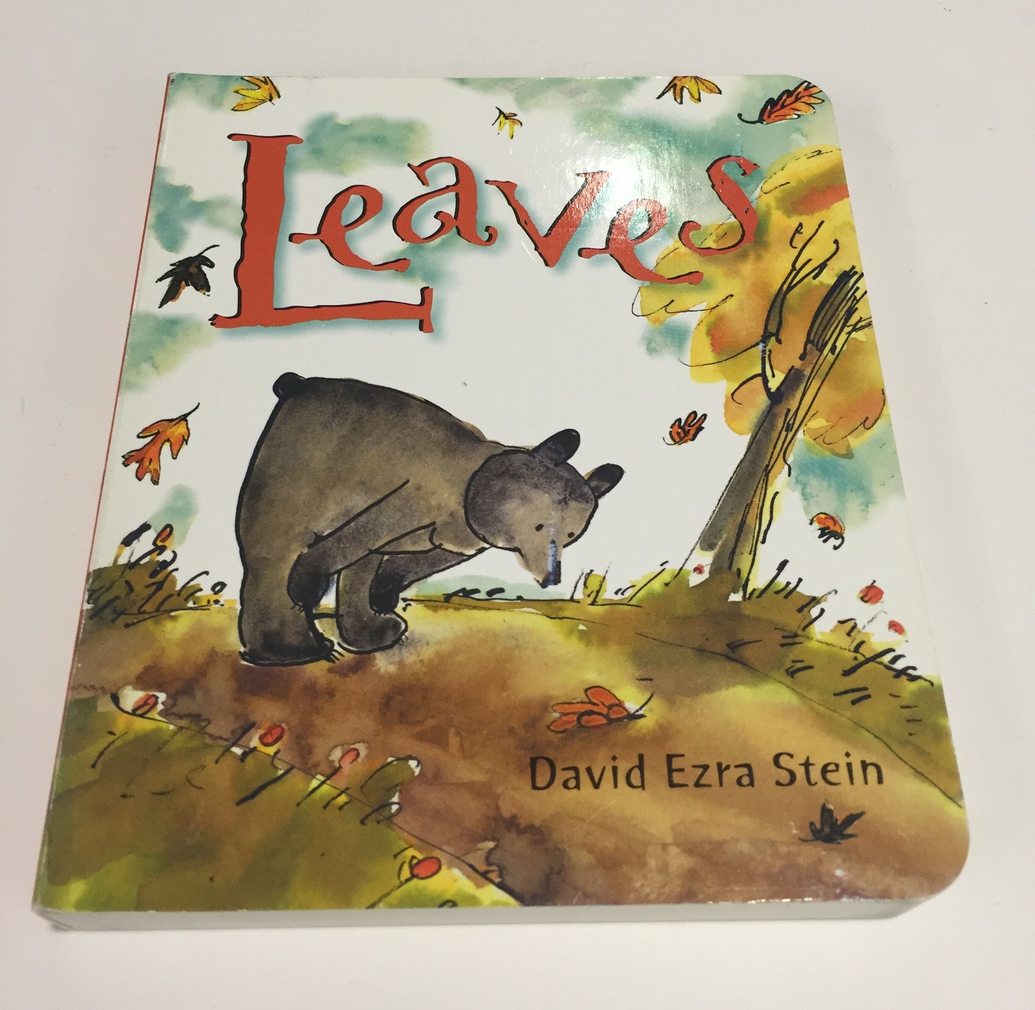 lillypost-september-2016-leaves