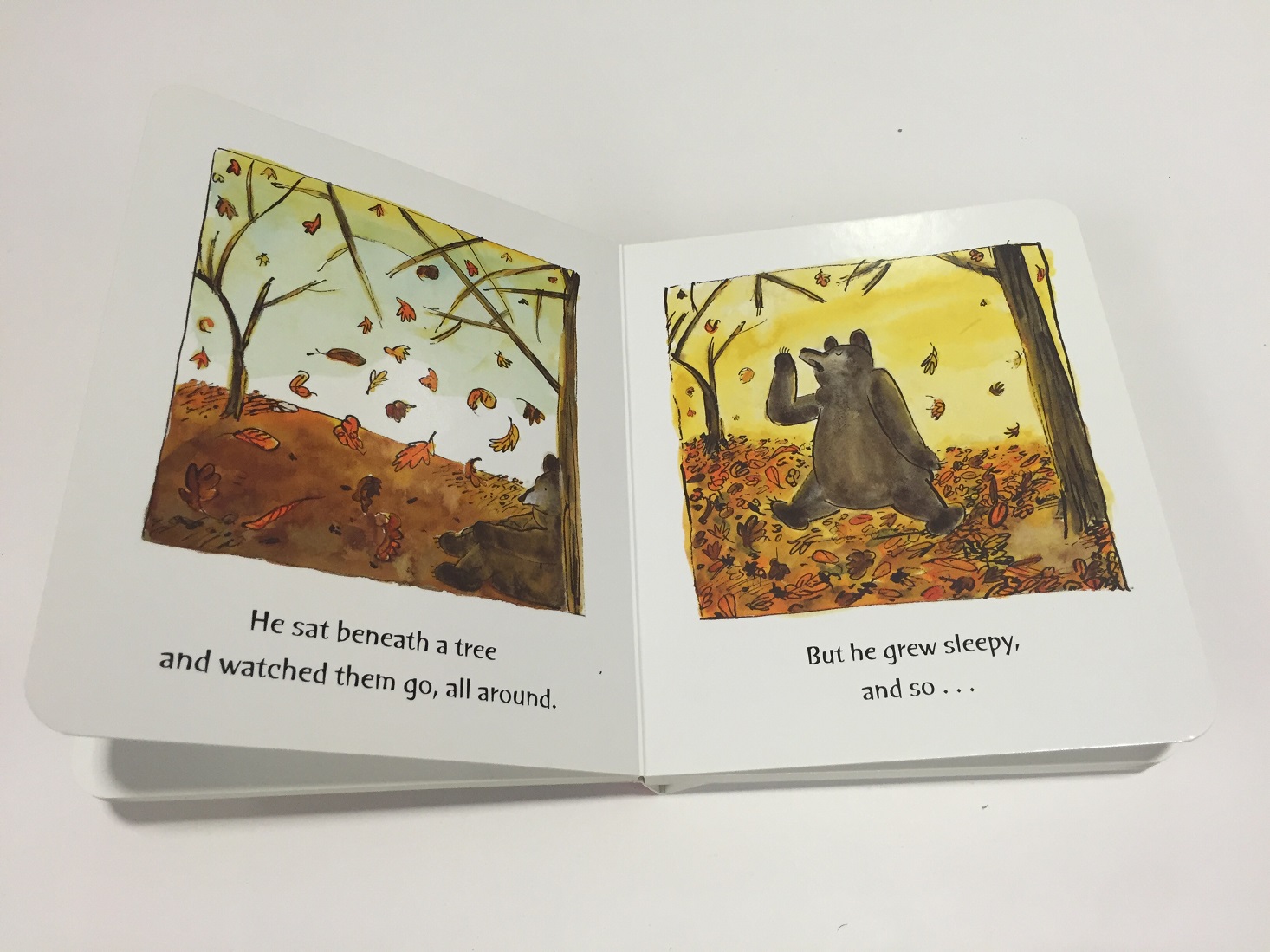 lillypost-september-2016-leaves2