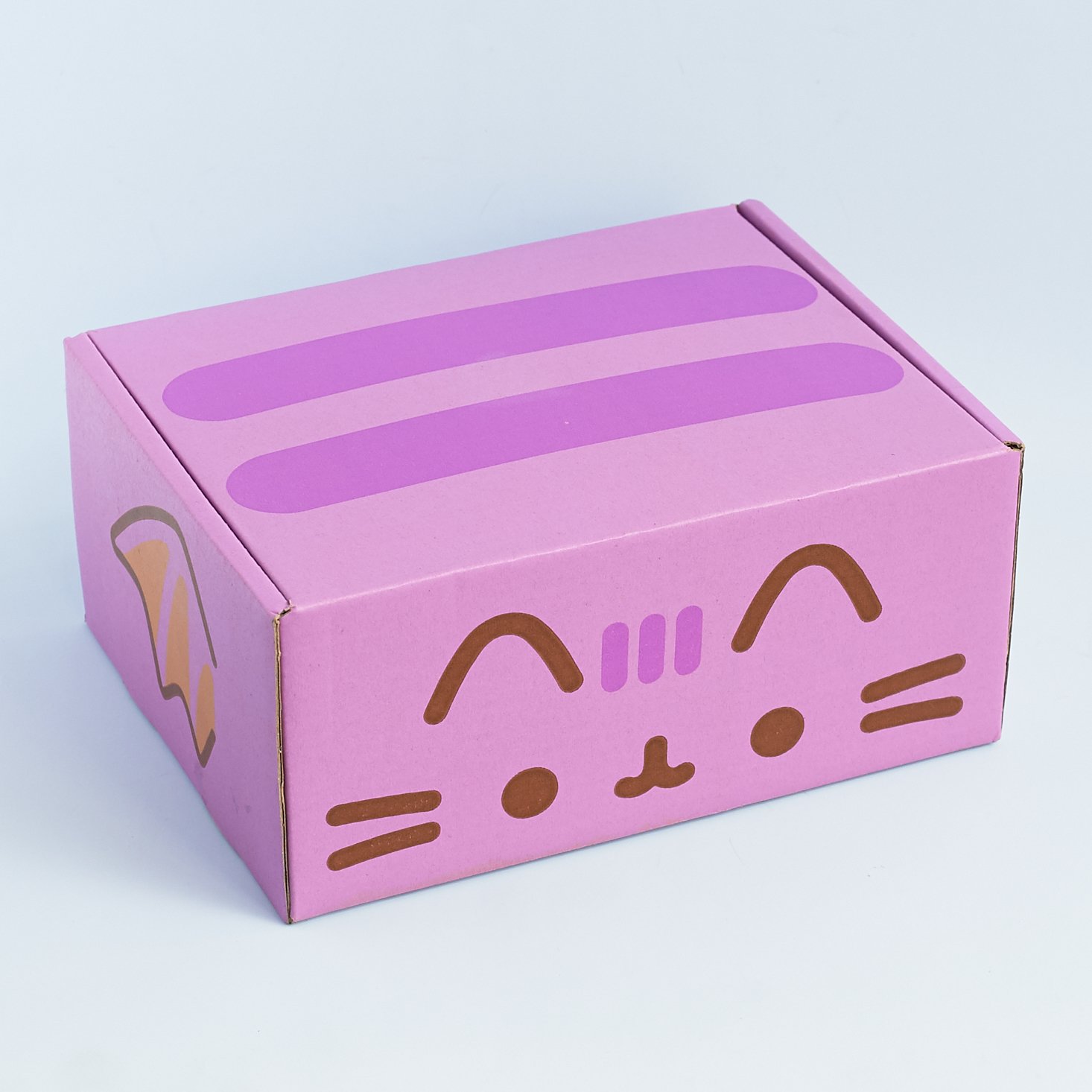 pusheen-box-october-2016-0001