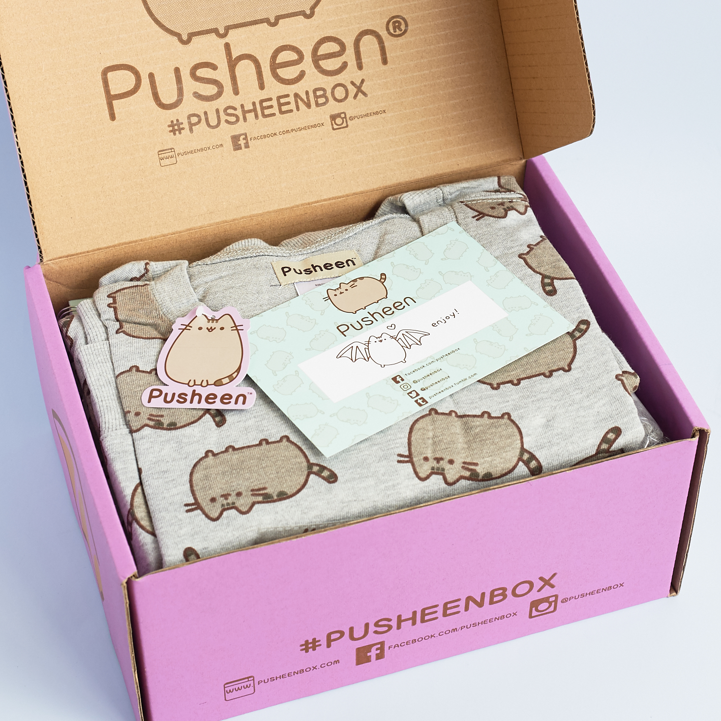 pusheen-box-october-2016-0003