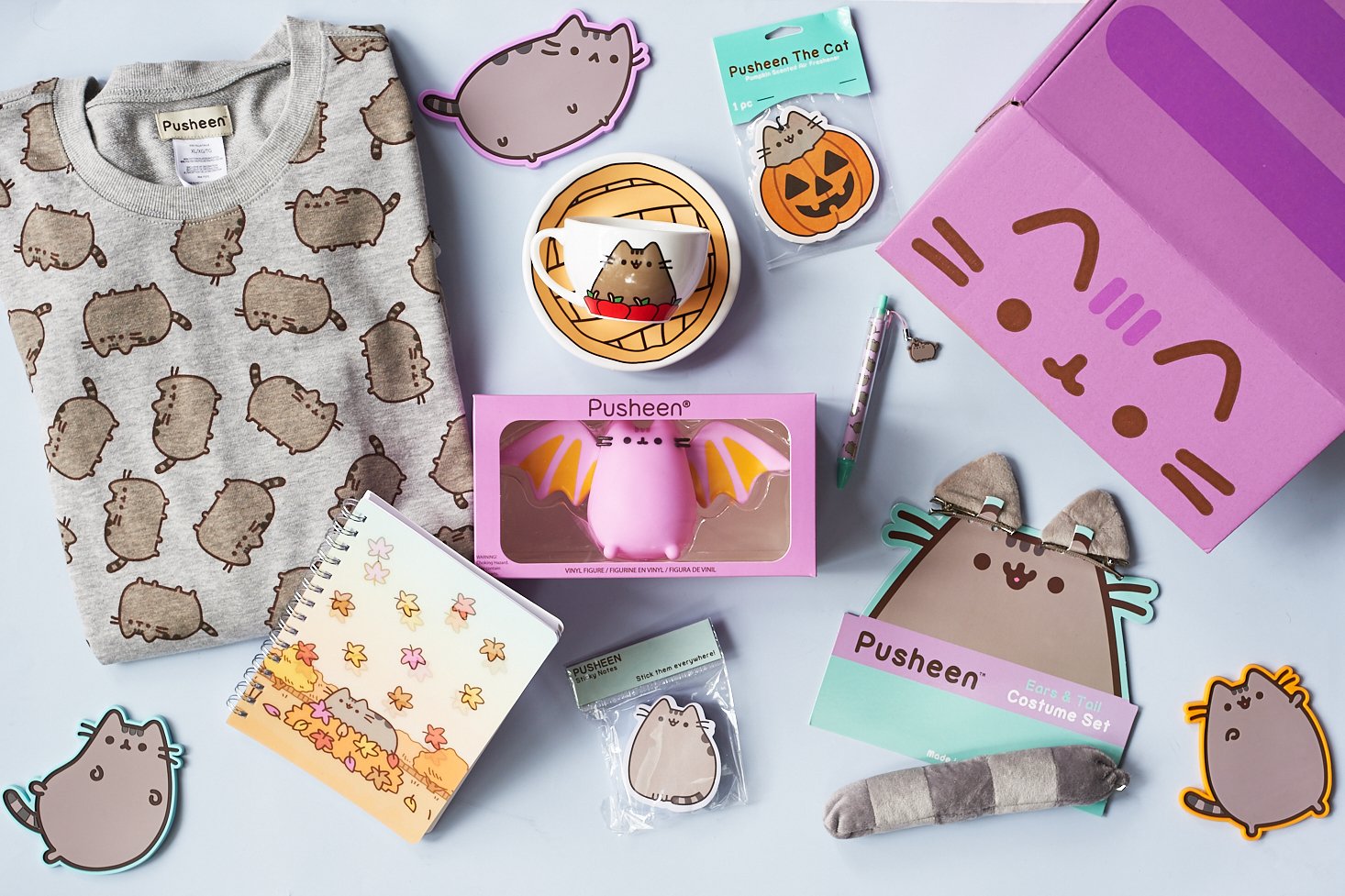 pusheen-box-october-2016-0004