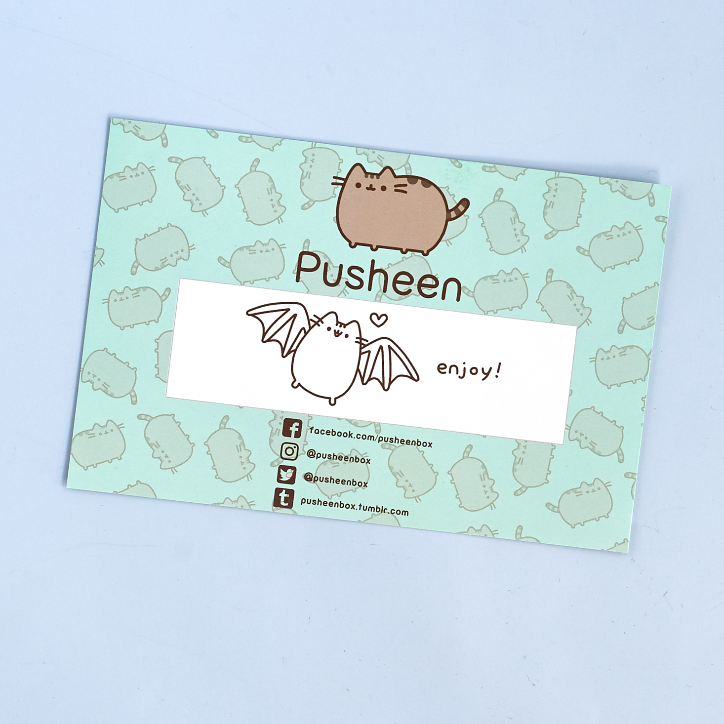 pusheen-box-october-2016-0006