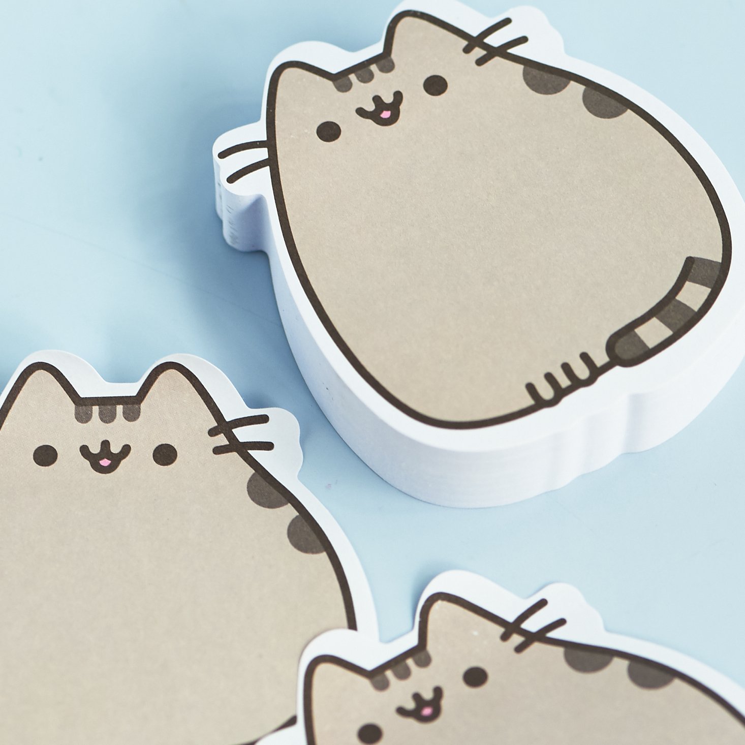 pusheen-box-october-2016-0022