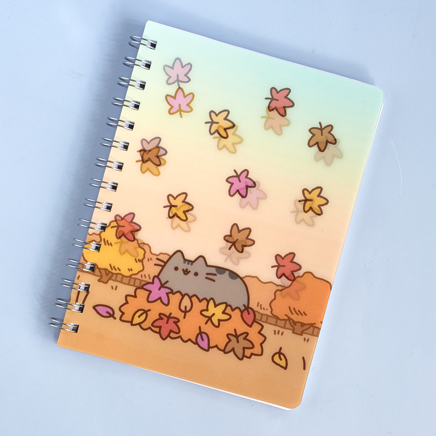 pusheen-box-october-2016-0023