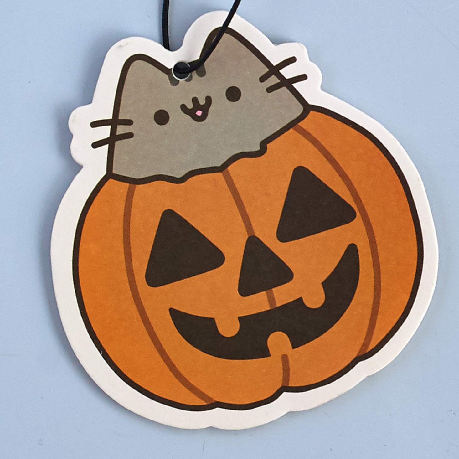 pusheen-box-october-2016-0027