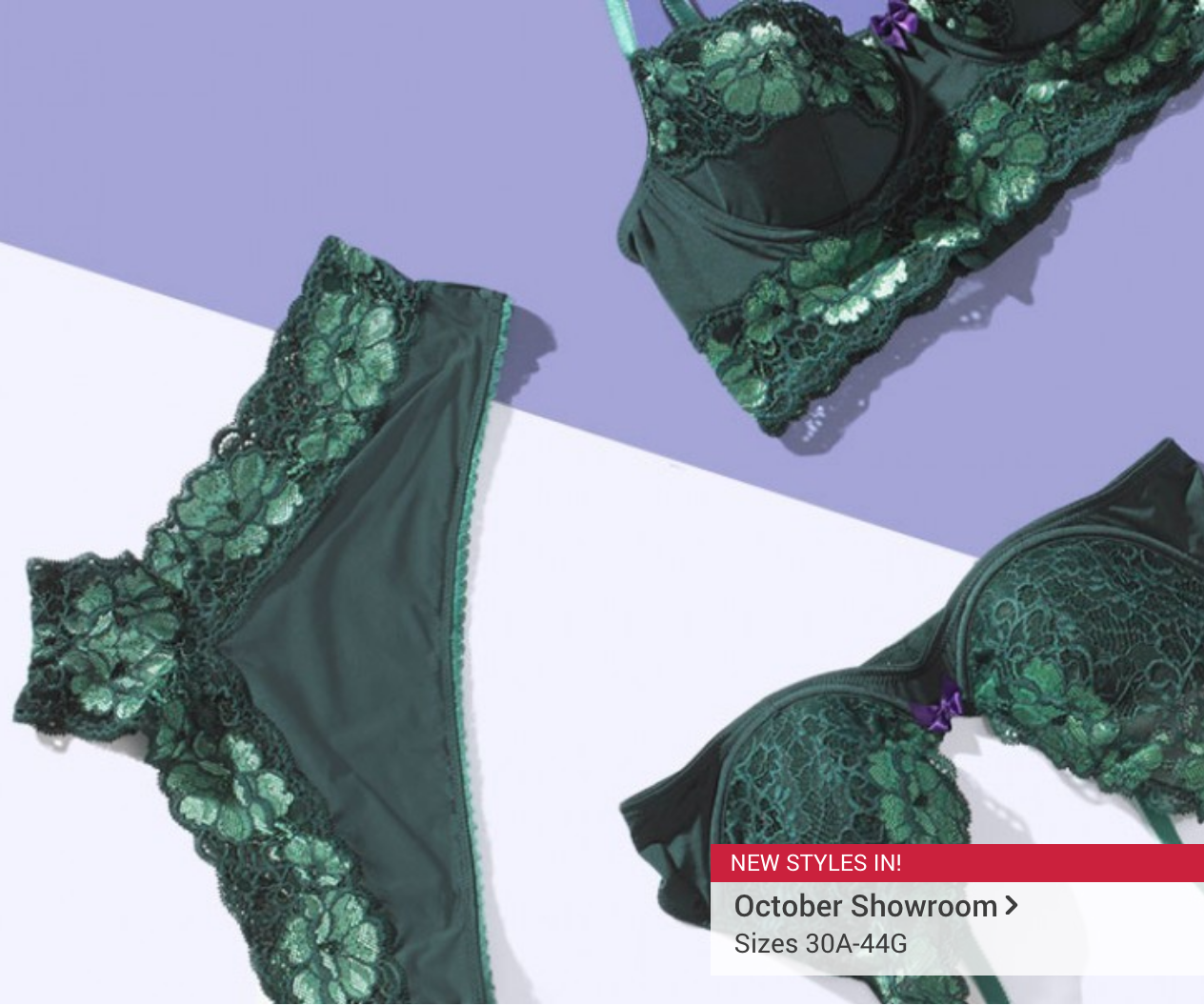 Adore Me October 2016 Collection + First Set for $19.95!