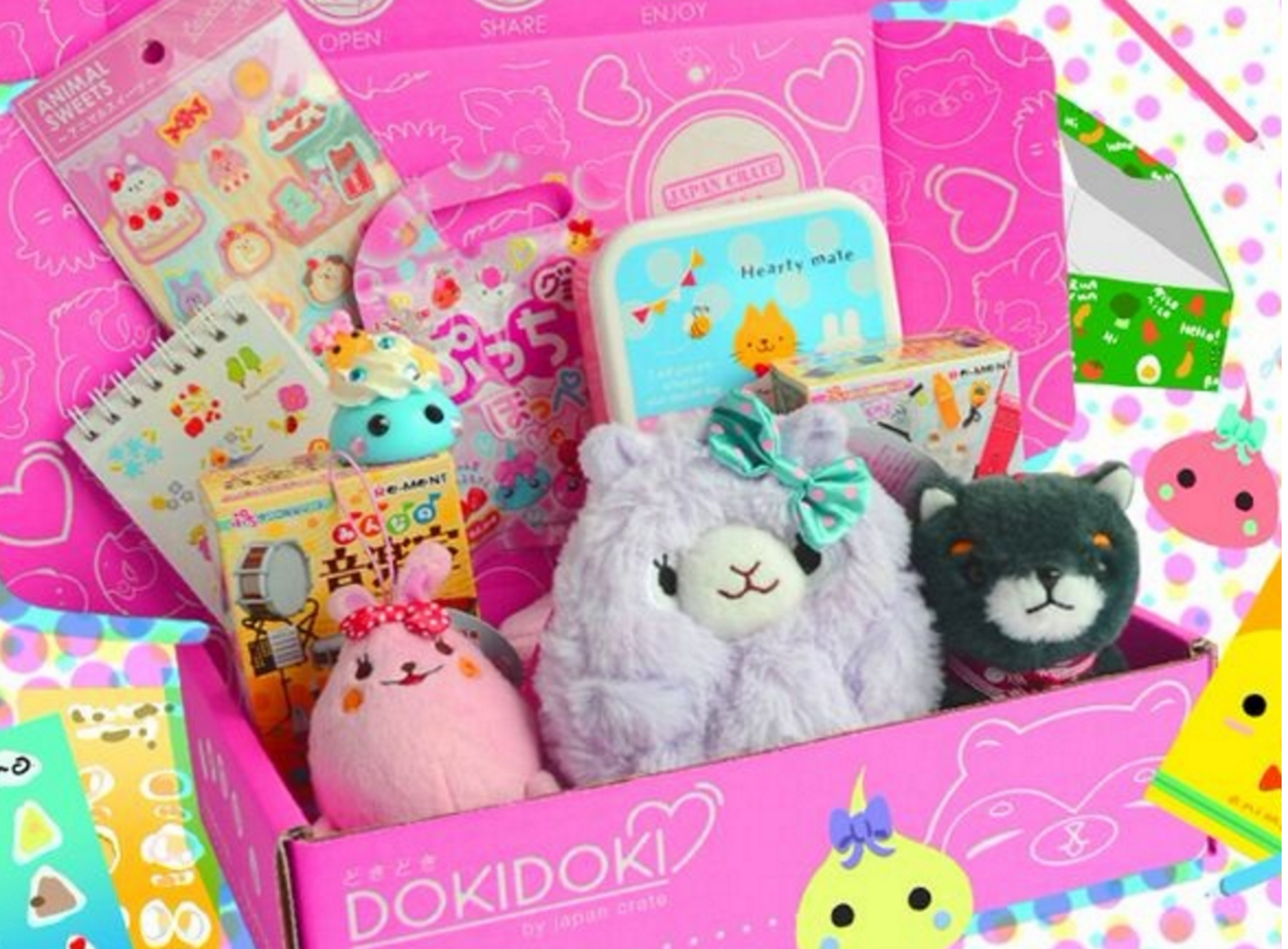 Doki Doki Crate November 2016 Spoiler #4 + Coupon